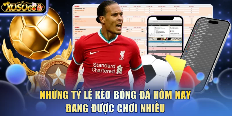 Cách Đọc Tỷ Lệ Kèo Bóng Đá Hôm Nay Chuẩn Xác Tại Xoso66 5 Xoso66 ⭐️ Trang web chính thức: xoso66.com Những tỷ lệ kèo bóng đá hôm nay đang được chơi nhiều